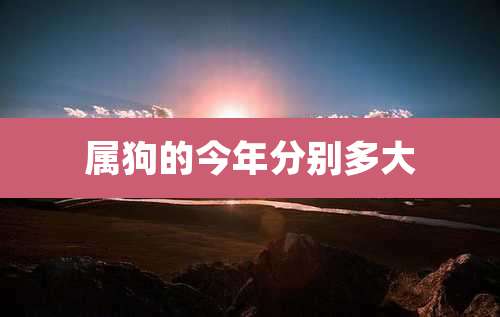 属狗的今年分别多大