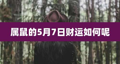 属鼠的5月7日财运如何呢