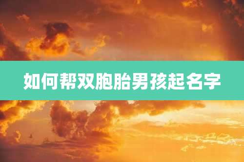 如何帮双胞胎男孩起名字