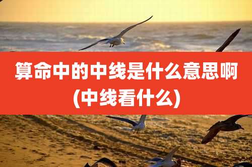 算命中的中线是什么意思啊(中线看什么)