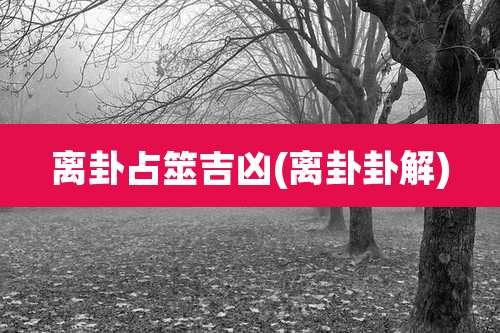 离卦占筮吉凶(离卦卦解)