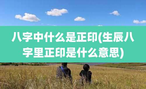 八字中什么是正印(生辰八字里正印是什么意思)