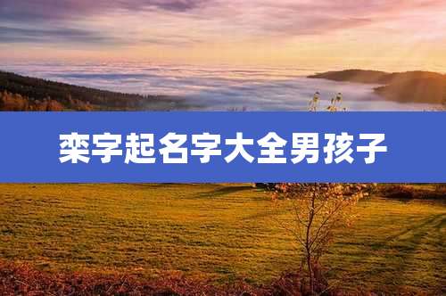 栾字起名字大全男孩子