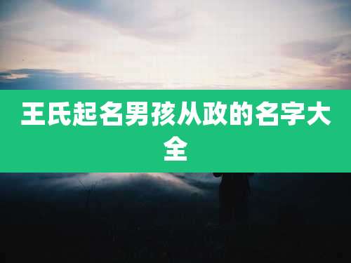 王氏起名男孩从政的名字大全