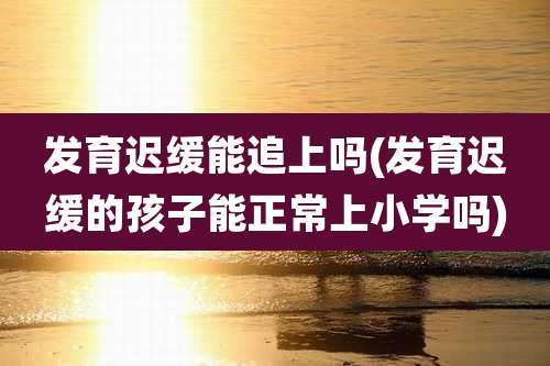 发育迟缓能追上吗(发育迟缓的孩子能正常上小学吗)
