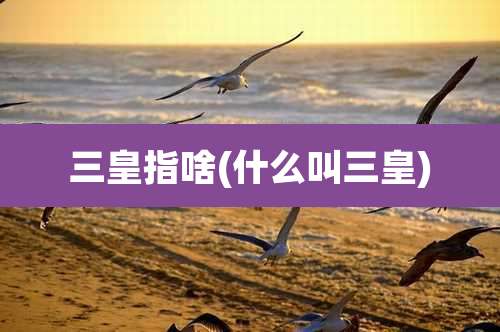 三皇指啥(什么叫三皇)