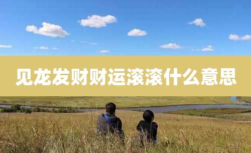 见龙发财财运滚滚什么意思