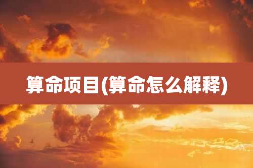 算命项目(算命怎么解释)