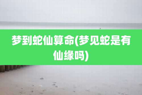 梦到蛇仙算命(梦见蛇是有仙缘吗)