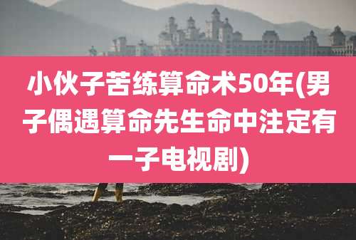 小伙子苦练算命术50年(男子偶遇算命先生命中注定有一子电视剧)