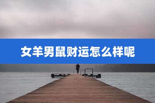 女羊男鼠财运怎么样呢