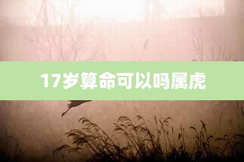 17岁算命可以吗属虎