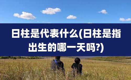 日柱是代表什么(日柱是指出生的哪一天吗?)