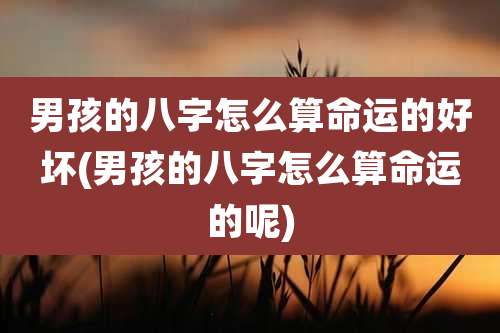 男孩的八字怎么算命运的好坏(男孩的八字怎么算命运的呢)