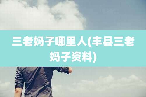三老妈子哪里人(丰县三老妈子资料)