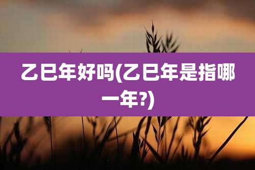乙巳年好吗(乙巳年是指哪一年?)