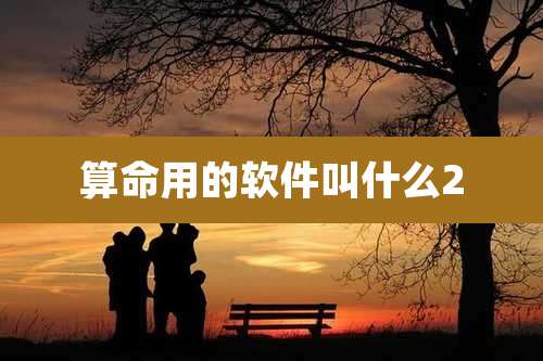 算命用的软件叫什么2