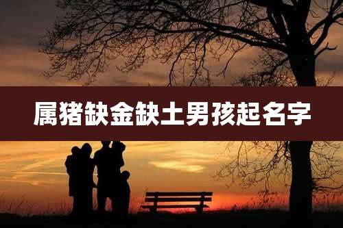 属猪缺金缺土男孩起名字