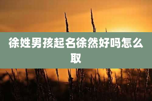 徐姓男孩起名徐然好吗怎么取