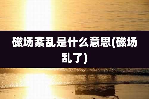 磁场紊乱是什么意思(磁场乱了)