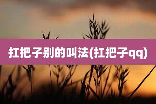 扛把子别的叫法(扛把子qq)