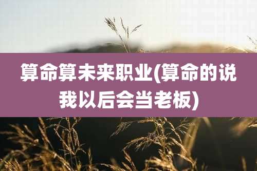 算命算未来职业(算命的说我以后会当老板)