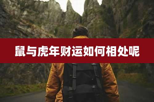 鼠与虎年财运如何相处呢