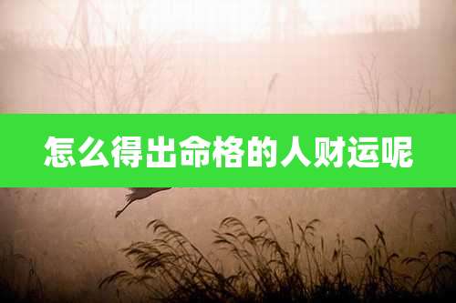 怎么得出命格的人财运呢