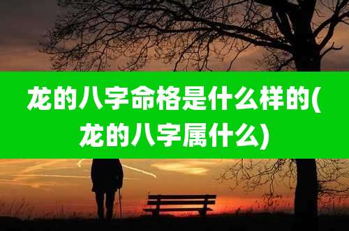 龙的八字命格是什么样的(龙的八字属什么)