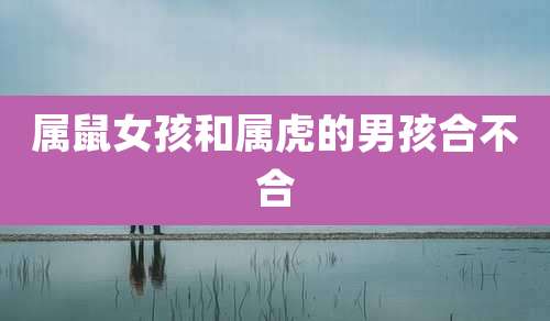 属鼠女孩和属虎的男孩合不合