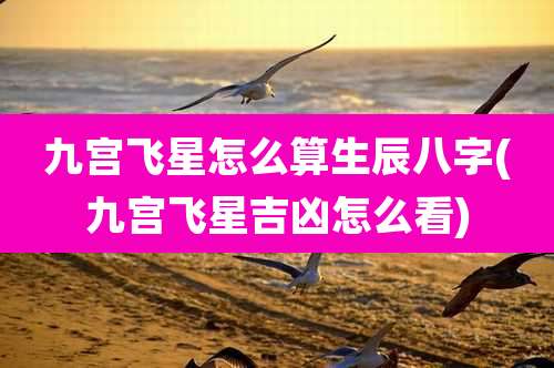 九宫飞星怎么算生辰八字(九宫飞星吉凶怎么看)