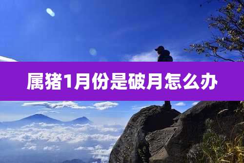 属猪1月份是破月怎么办