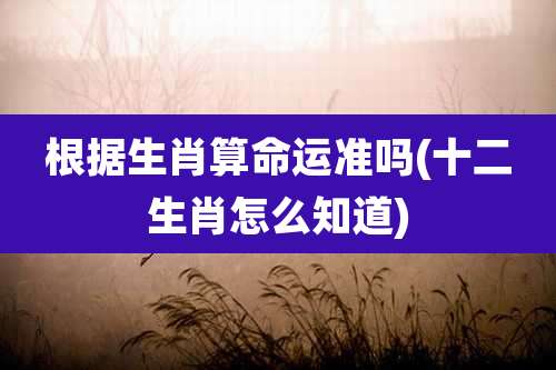 根据生肖算命运准吗(十二生肖怎么知道)