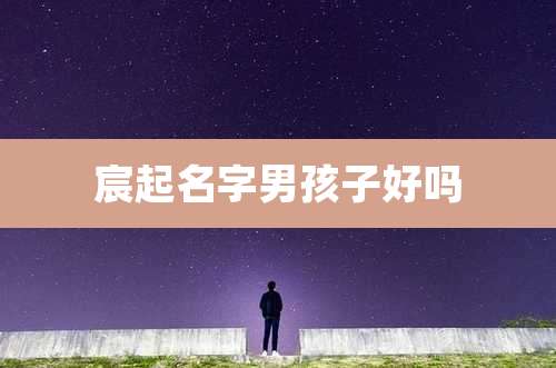 宸起名字男孩子好吗