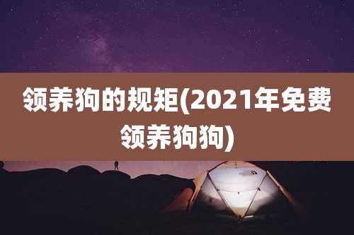 领养狗的规矩(2021年免费领养狗狗)