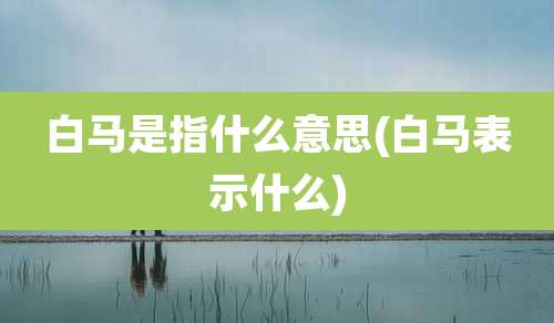 白马是指什么意思(白马表示什么)