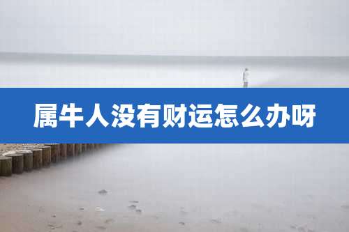 属牛人没有财运怎么办呀