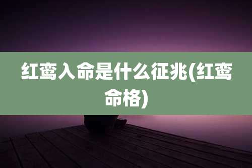 红鸾入命是什么征兆(红鸾命格)