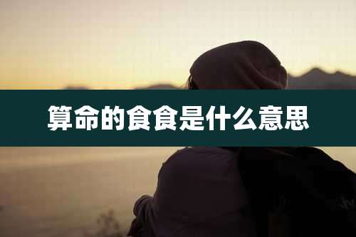 算命的食食是什么意思