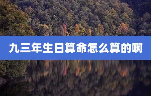 九三年生日算命怎么算的啊