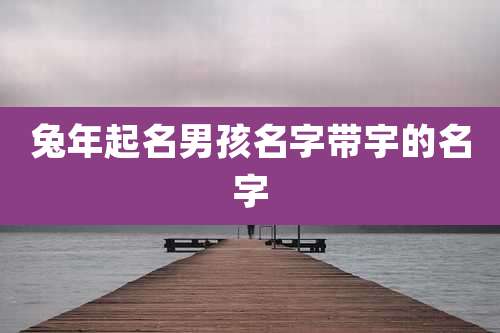 兔年起名男孩名字带宇的名字
