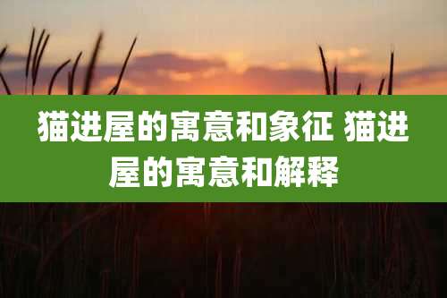 猫进屋的寓意和象征 猫进屋的寓意和解释