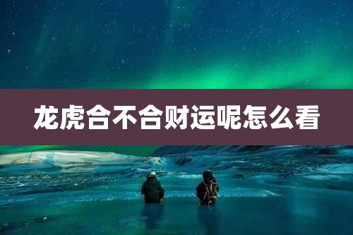 龙虎合不合财运呢怎么看