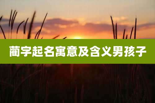蔺字起名寓意及含义男孩子