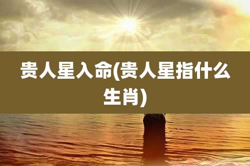 贵人星入命(贵人星指什么生肖)