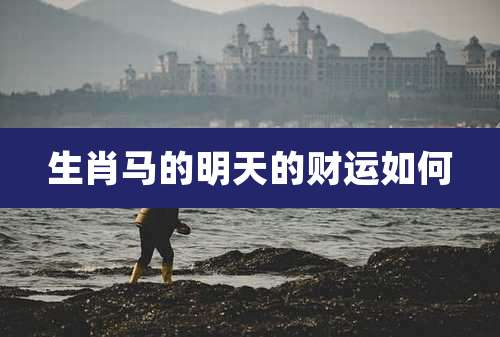 生肖马的明天的财运如何
