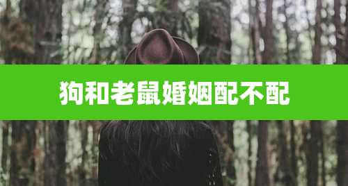 狗和老鼠婚姻配不配