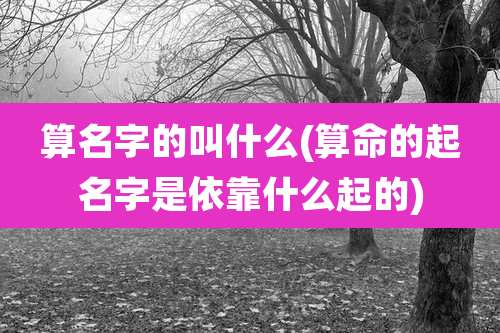 算名字的叫什么(算命的起名字是依靠什么起的)