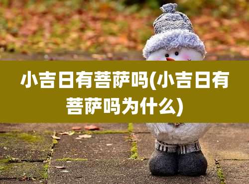 小吉日有菩萨吗(小吉日有菩萨吗为什么)