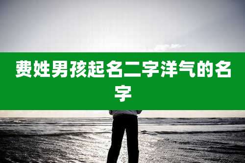 费姓男孩起名二字洋气的名字